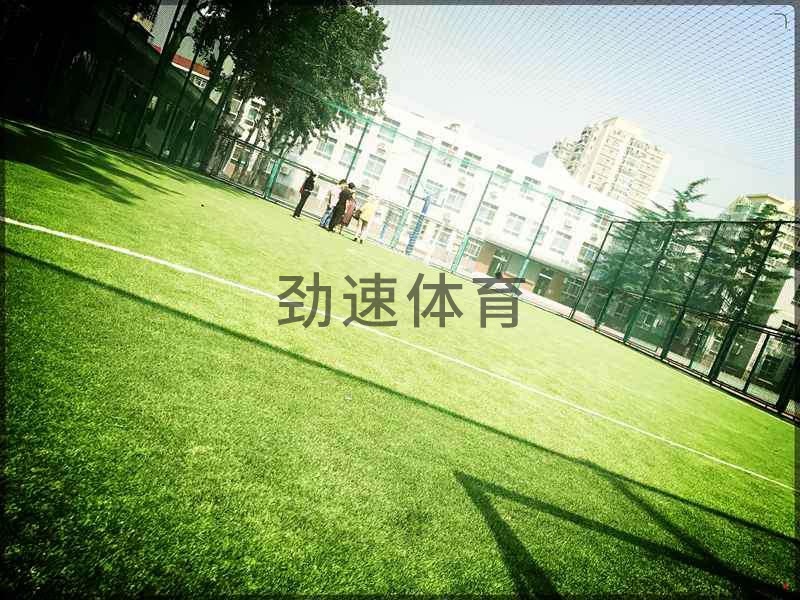 學校網式足球場